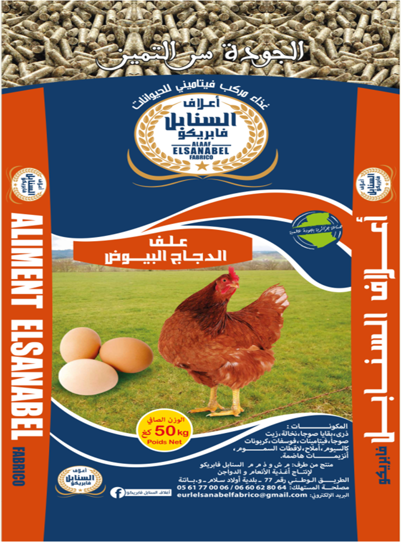 علف الدجاج البيوض